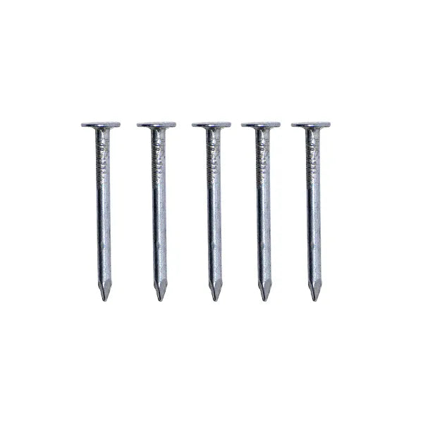 Nails clout galvanized 3.05x32mm