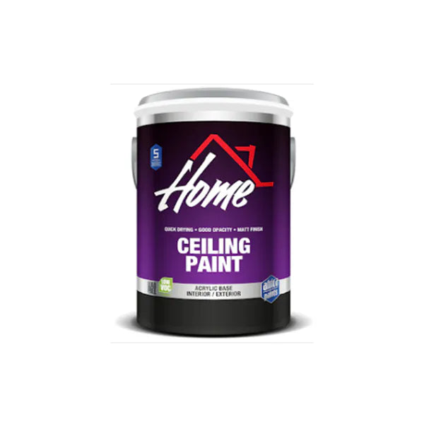 Paint Ceiling Home 5L