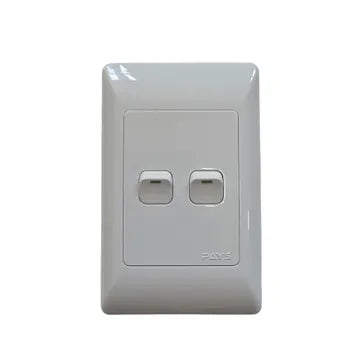 Switch Wall Pays 2 Lever 4X2