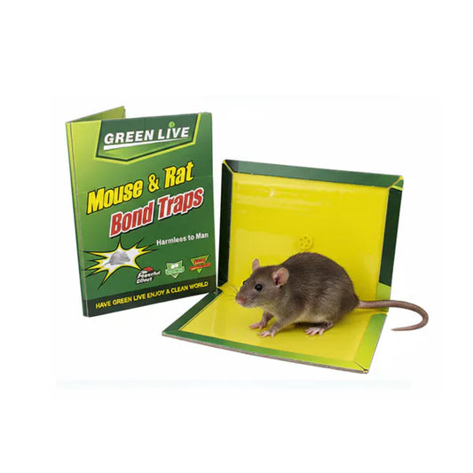 Board Glue Mouse and Rat Trap
