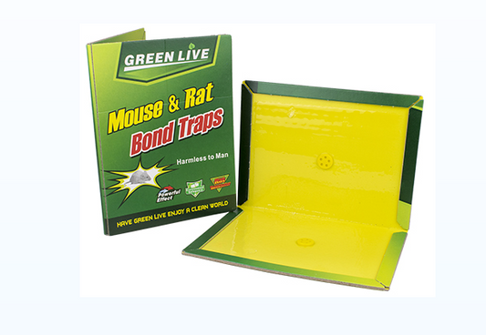 Board Glue Mouse and Rat Trap