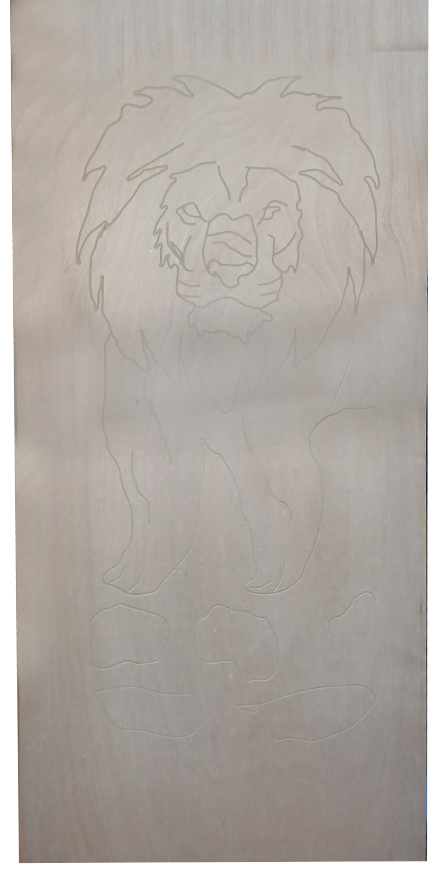 Door Masonite Okumi Veneer Lion