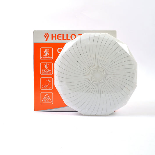 Light Ceiling 30W Cw104