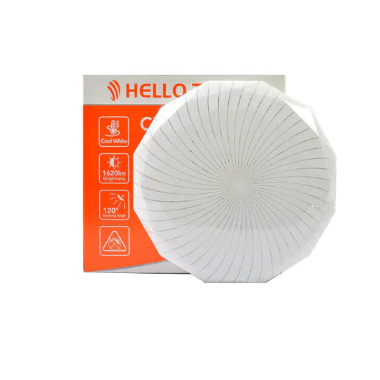 Light Ceiling 30W Cw104