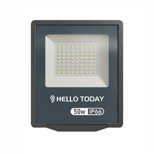 LIGHT FLOOD HT IP66 30W A3 COOL WHITE