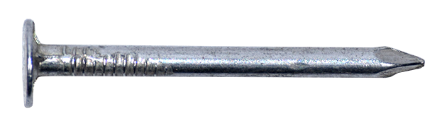 Nails clout galvanized 3.05x40mm