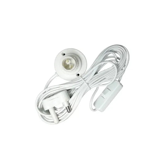 Plug Switch Lampholder 5m R-305(5M)