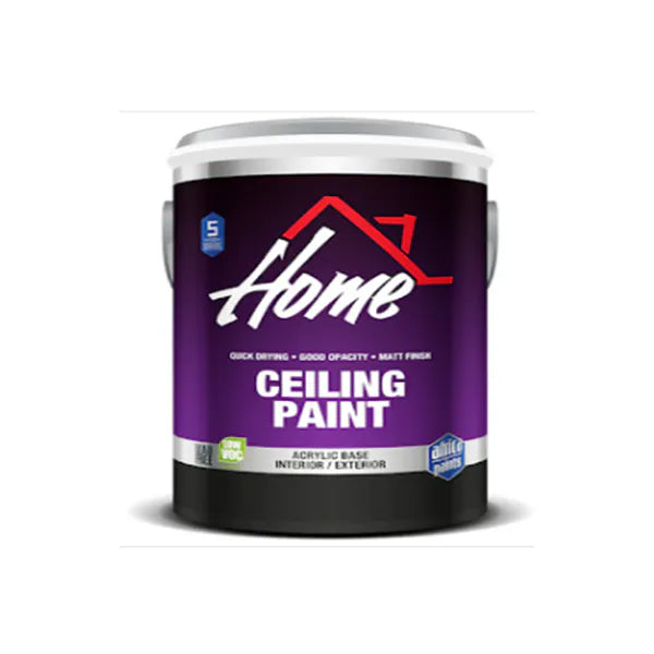 Paint Ceiling Home 20lt