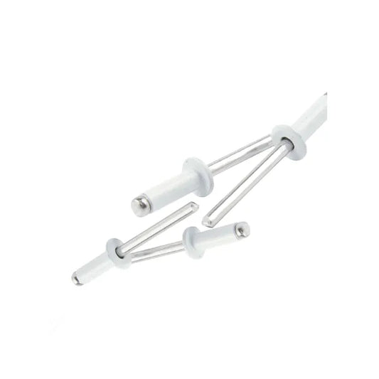 Rivets Pop White 4.8x12