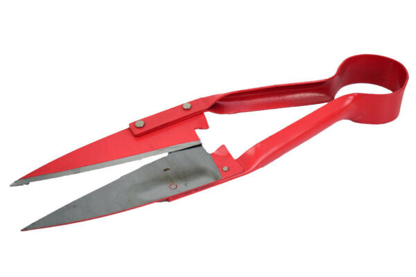 Shears Sheep Red 13"