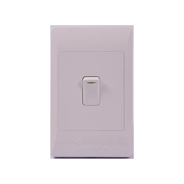 Switch Wall NEU 1 Lever 1 Way 100*50 Complete
