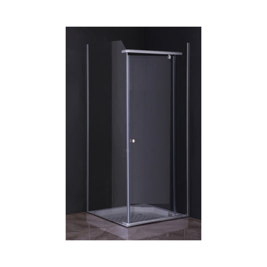 Door Shower Pivot Clear